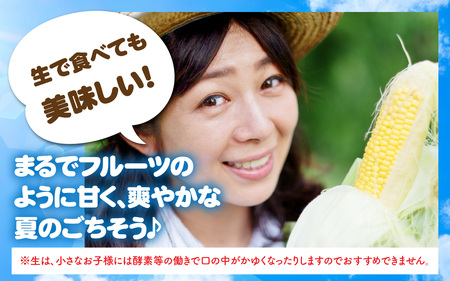 サニーショコラ　9本セット | とうもろこし