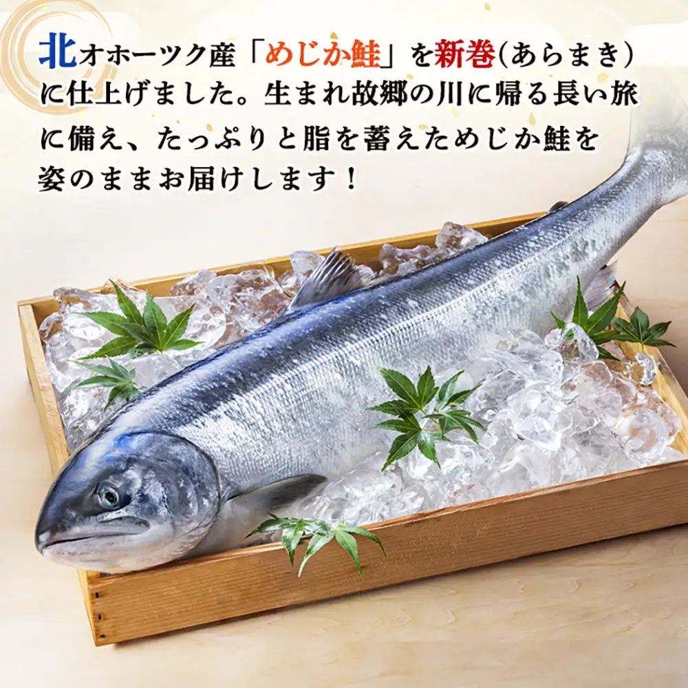 北隆丸 新巻めじか鮭（姿）約1.6kg・いくら醤油漬け200gセット　オホーツク産【1600501】