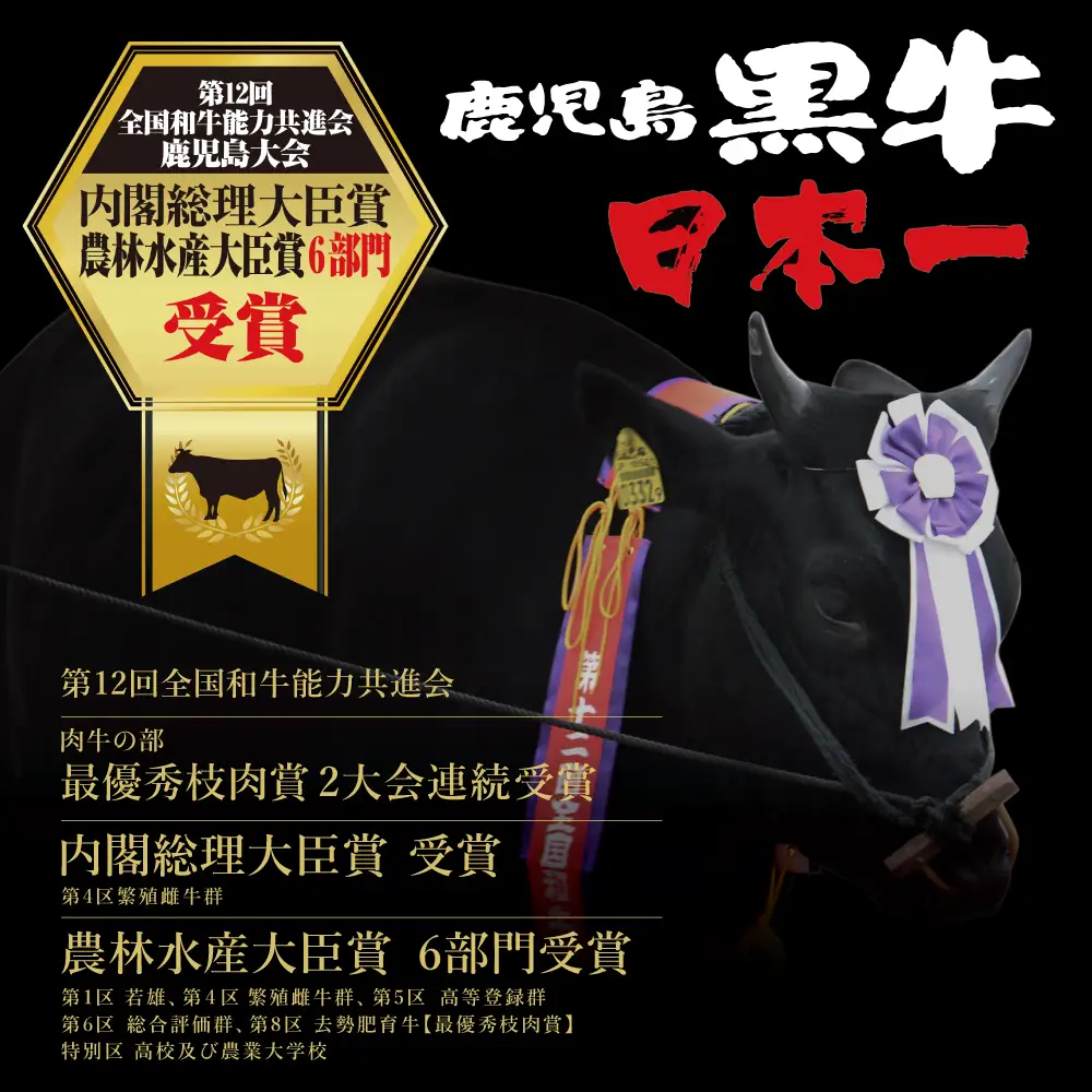 【和牛日本一】5等級 鹿児島黒牛サーロインステーキ 2枚 計400g（200g×2P） 牛肉 黒毛和牛 冷凍 バーベキュー BBQ JA食肉かごしま