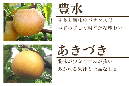 【2026年先行予約】旬の和梨 年6回定期便 和梨6品種食べ比べ （豊水・あきづき・新美月・新王・新高・新興） 各3kg 合計18kg《9月中旬から順次発送》 旬の和梨をお届け 頒布会 限定品 フルーツ定期便 加茂市 新太郎農園