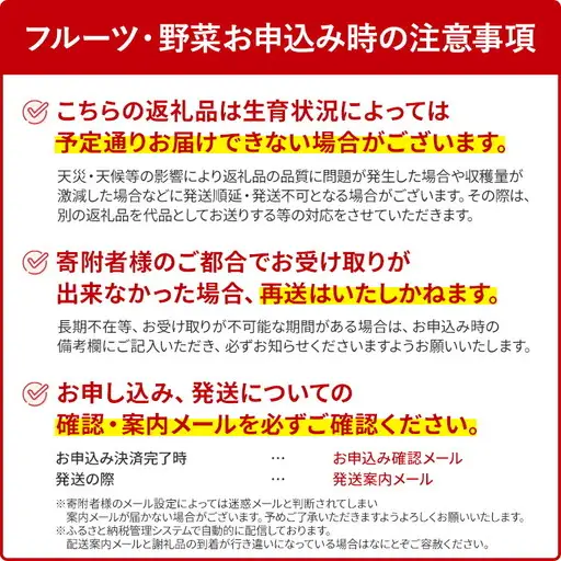いちご 大木町産あまおういちご 約250g×4P【2027年2月以降発送】CL001