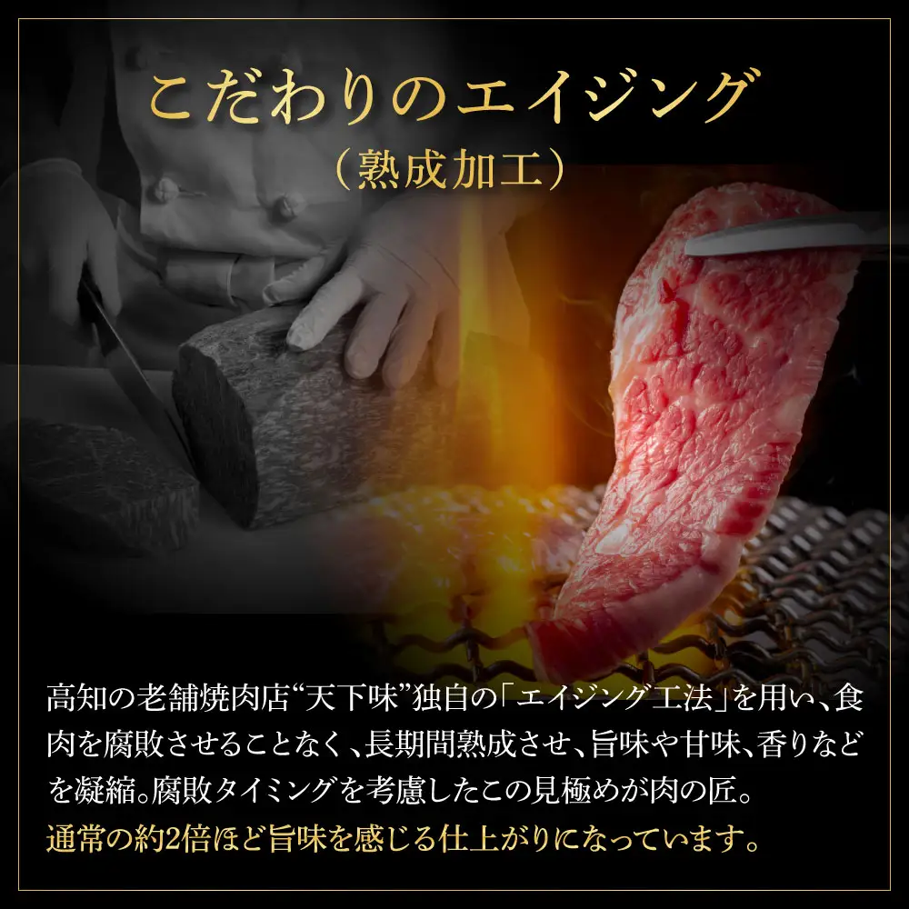 土佐和牛 特選スネ肉煮込み角切り 500g×4（田野屋銀象完全天日塩4P付き） 高知県土佐市 【株式会社LATERAL】 [BQAU047]