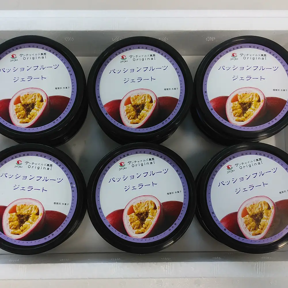 ジェラート（パッションフルーツ）90ml×12個