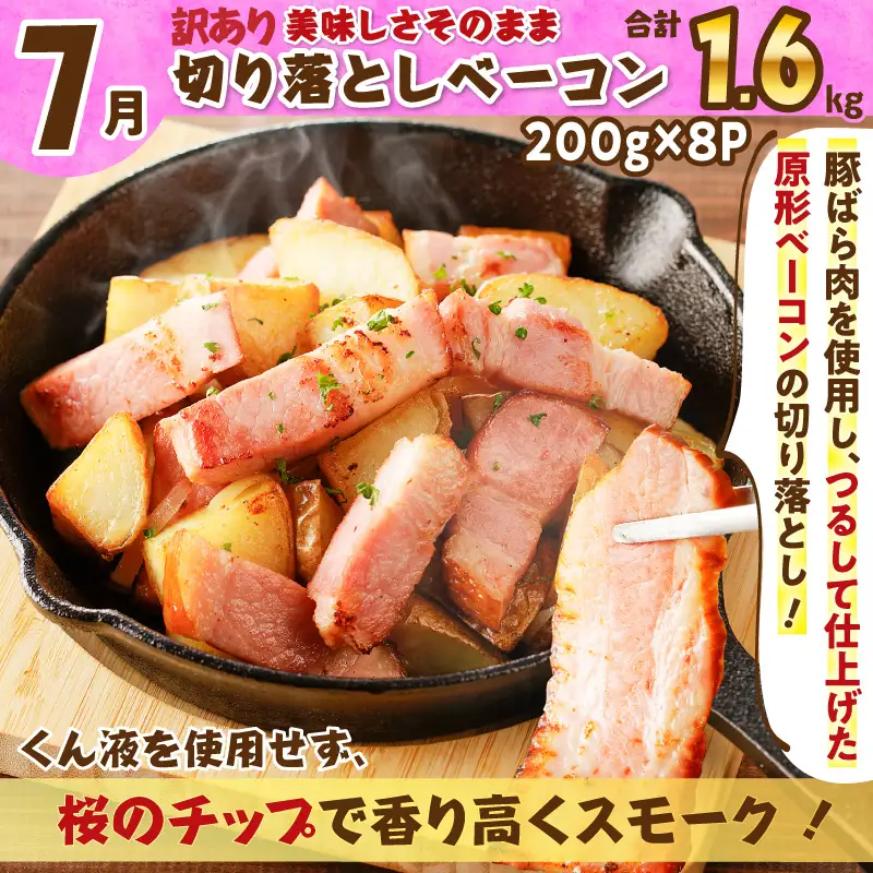 【 訳あり 】 【全3回】バラエティ 定期便 （3・7・11月 お届け ） K161-T05 肉 豚肉 冷凍