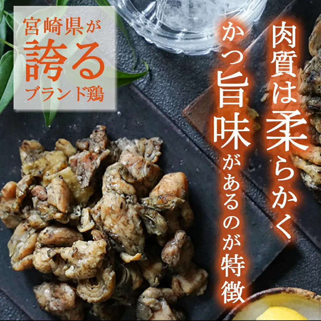 みやざき地頭鶏の炭火焼き真空パック3個(ゆずこしょう付)〔11-J701〕_(都城市) 地頭鶏の炭火焼き 120g×3 宮崎県産青ゆずこしょう 20g×1 モモ・ムネ肉 真空パック 炭火焼き 地鶏