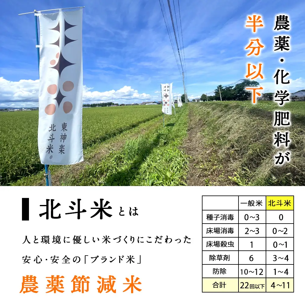 【レビューキャンペーン実施】【7営業日以内発送】【令和7年産】北斗米ななつぼし30kg（5kg×6袋）