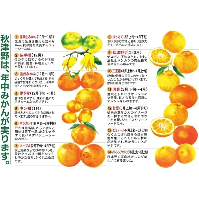 季節毎の柑橘ジュース500ml×12本セット / 和歌山 和歌山県産 田辺市 温州みかん 不知火 デコポン バレンシアオレンジ みかんジュース 100％ジュース オレンジジュース【ktr016-2】