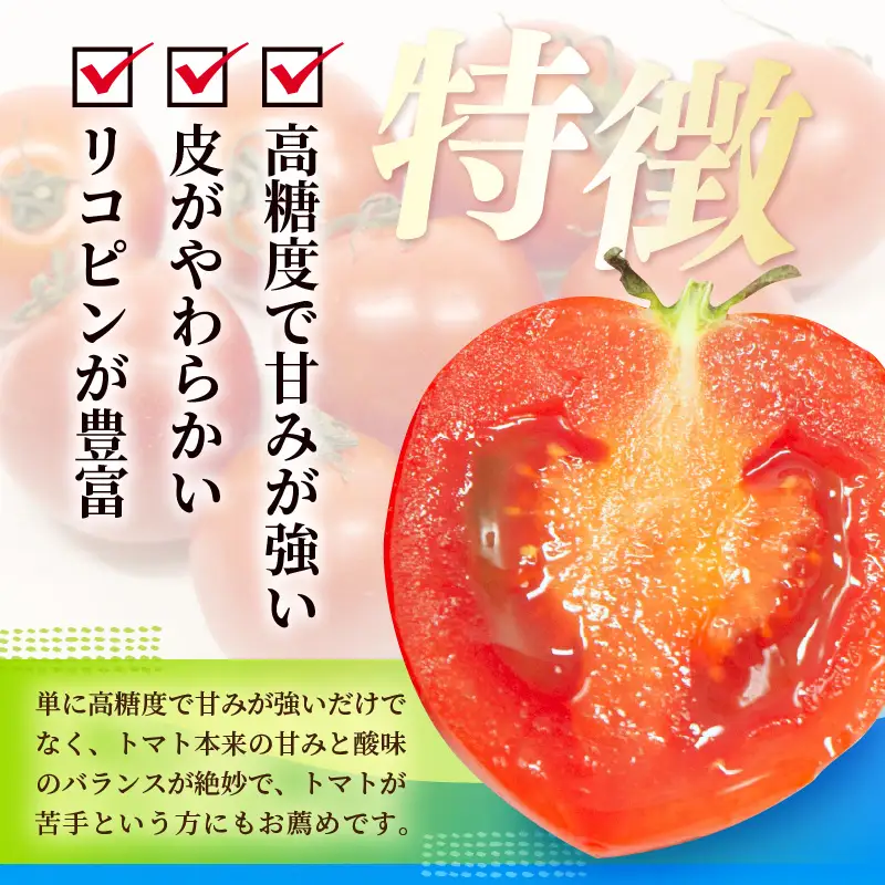 フルーツトマト 越のルビー 2kg 化粧箱入り 2026年10月上旬以降順次発送 とまと 野菜 [A-19103]