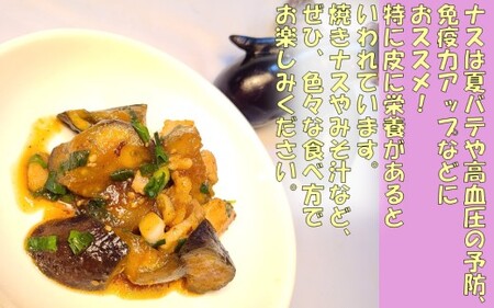 【訳アリ】【朝どれ】 鹿児島県産ナス 5kg 季節限定 農家直送 鹿児島県産 【2026年7月上旬から9月下旬発送予定】 ZS-9107