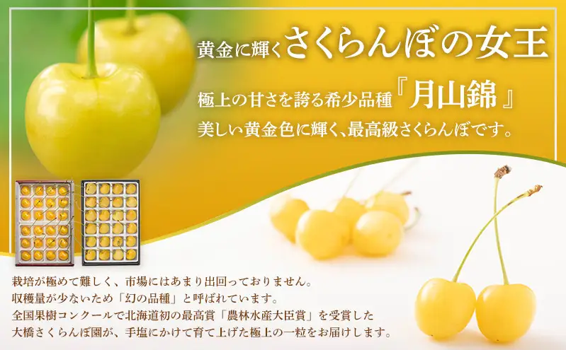 先行受付 さくらんぼ 月山錦 1kg 500g×2パック 農林水産大臣賞