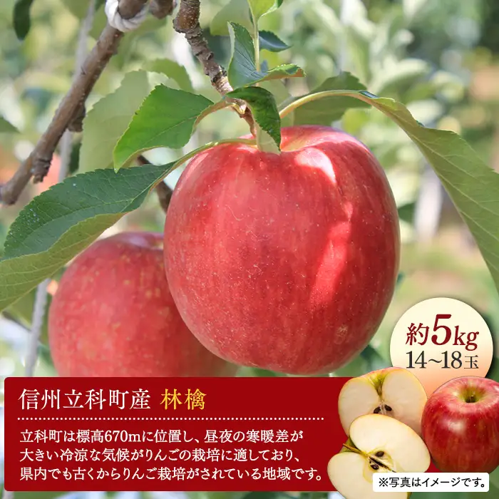シナノドルチェ（約5kg、優14～18玉）