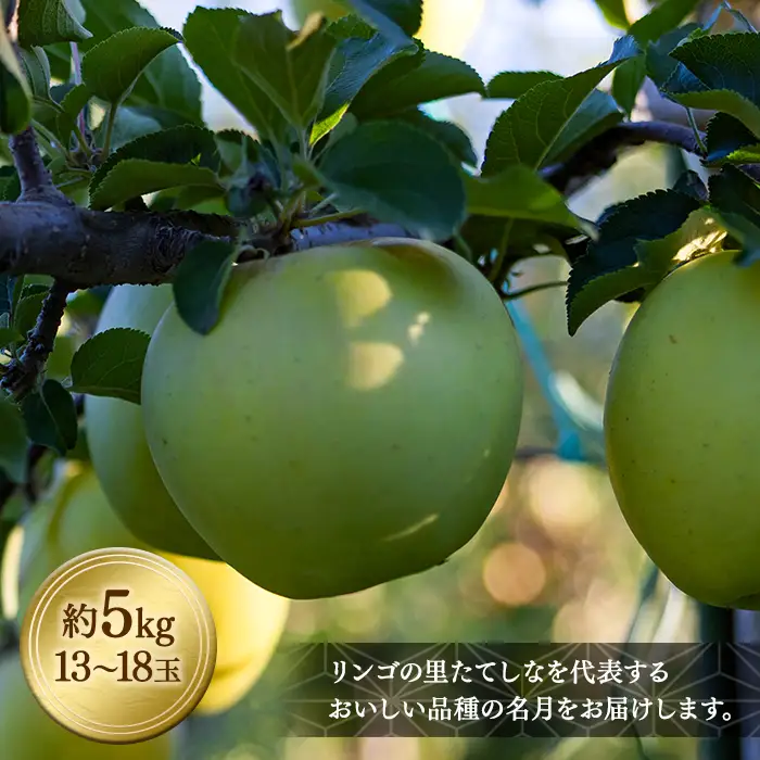 ぐんま名月（約5kg、優13～18玉）　