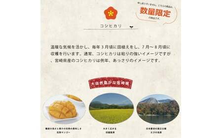 令和6年産 新米 こしひかり 20kg （白米） 宮崎県産