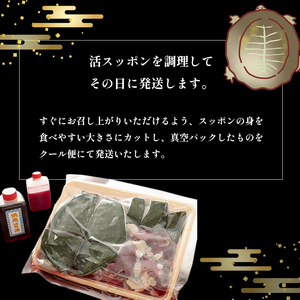 【11月お届け】綾部で育てた！！スッポン鍋 1kg（2?3人前） / 鍋 健康 コラーゲン 綾部市 / 丹の里水産［BSDM035］