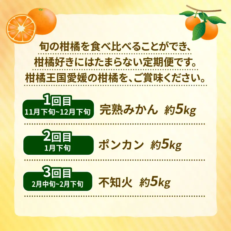 訳あり 柑橘定期便 全3回 杉本屋  不知火 デコポン ( デコポン と同品種) 完熟みかん ポンカン B030-143013