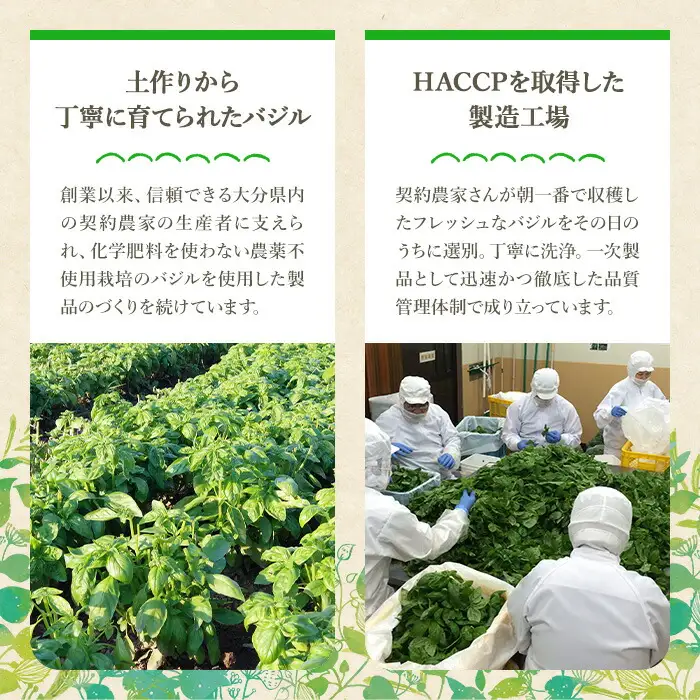 ファインド・ニューズ＜バジル&マスタード＞プレミアムセット(合計470g・6種)調味料 ソース バジル ジェノベーゼ マスタード バーニャカウダ セット【109300200】【ファインド・ニューズ】