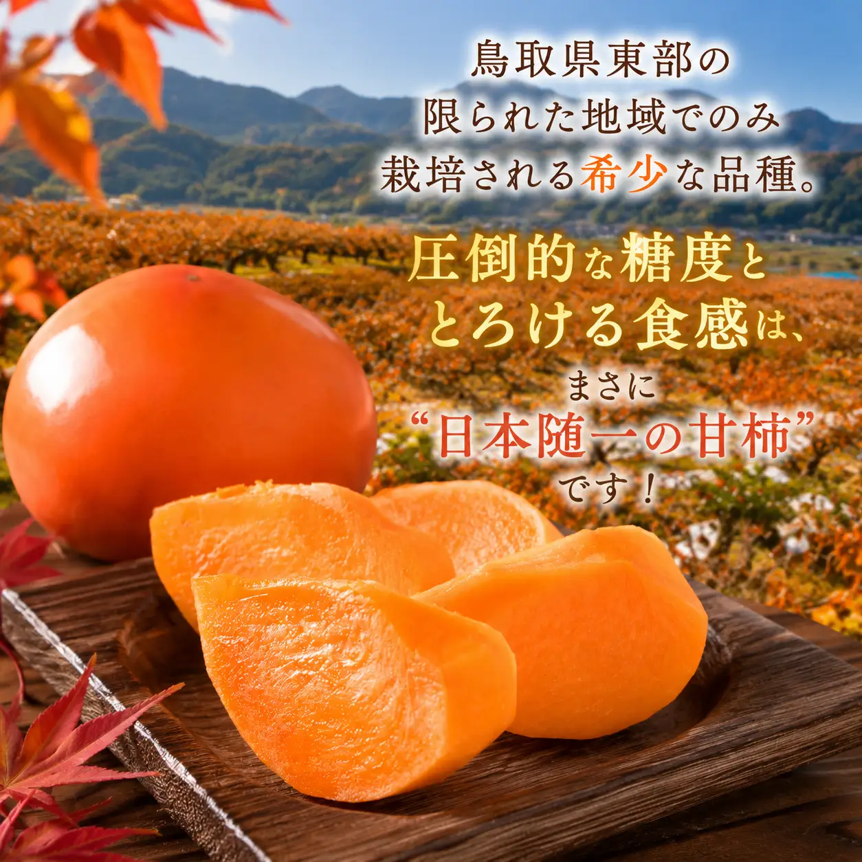 Y272　八頭町が誇る日本随一の甘柿『花御所柿』 3kg