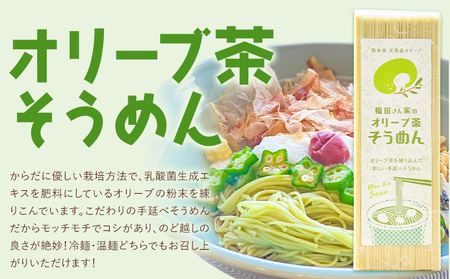 オリーブ 茶 そうめん 5袋 セット 福田さん家のオリーブ園。