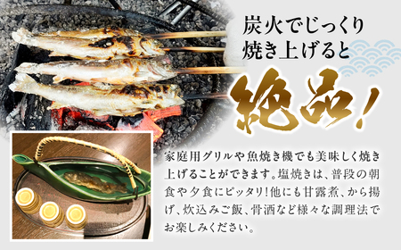先行予約 6月以降順次発送 白川村産 天然岩魚 イワナ 10尾 18cm以上 岩魚 天然 いわな イワナ 魚 川魚 BBQ バーベキュー アウトドア 岐阜県 白川郷 世界遺産 塩焼き 20000円 [S804]