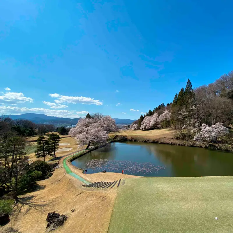 蔵王カントリークラブプレー券 (平日1名様分) ゴルフ ゴルフ場 利用券 チケット ゴルフプレー FY24-171