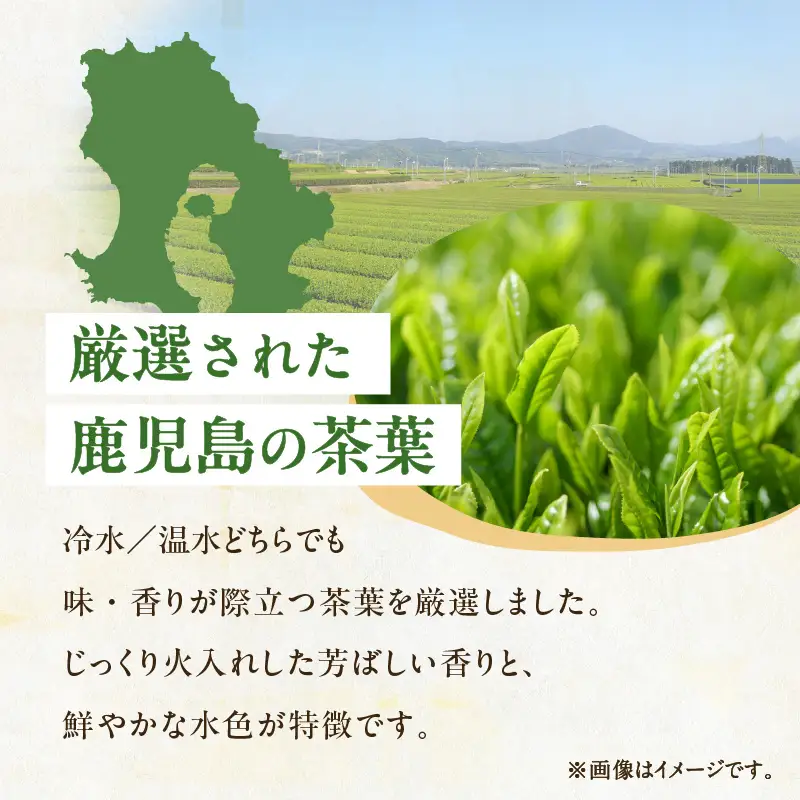 【 5営業日以内に発送 】【 期間限定 】 水出し煎茶 緑茶 ティーバッグ 6袋 K111-039_03 スピード配送 最短 すぐ届く お急ぎ