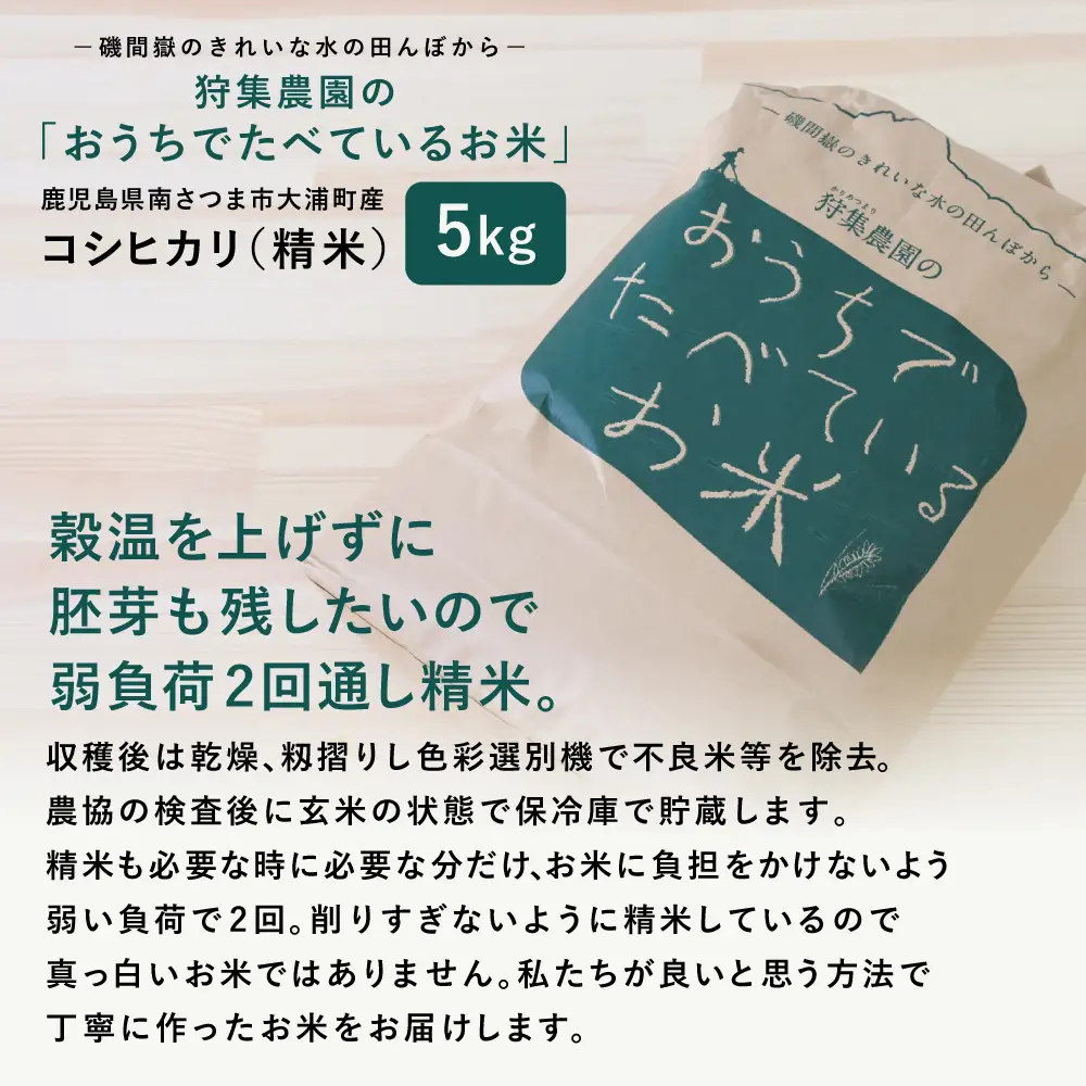【令和6年産】＜新米・8月発送開始＞ 狩集農園の我が家で食べてるお米 5kg 鹿児島県産 コシヒカリ 米 白米 お米 おこめ コメ 精米 狩集農園 南さつま市
