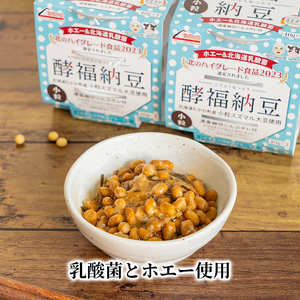 納豆 酵福納豆 なかいさんちの手造り納豆【40g×3パック 計8個】