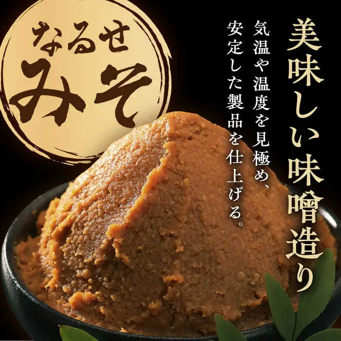 おかずみそ ごま味噌 4袋（140g×4袋）なるせみそ /角味噌醤油 [UAX047] ごはんのおとも