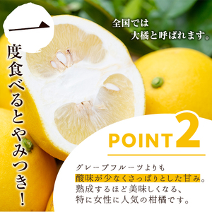 ＜先行予約受付中！2027年2月下旬以降順次発送予定＞＜訳あり・傷あり＞数量限定！サワーポメロ(約7kg) 国産 フルーツ 果物 柑橘類 サワーポメロ 甘味 酸味 デザート おやつ 訳あり【なかむら果樹園】akn014-01