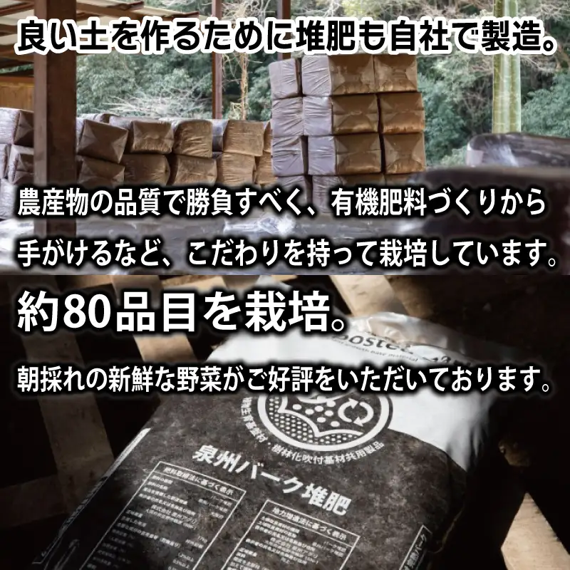 ねね屋のとれたて野菜セット 5品目以上 詰め合わせ