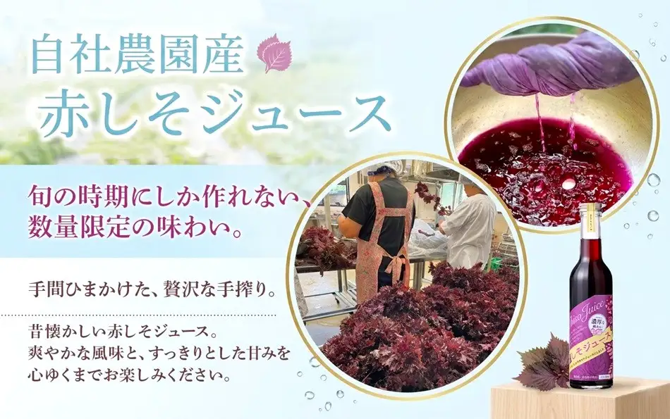 A1-0765／【夏季限定】 濃い！ 赤しそジュース　3本セット