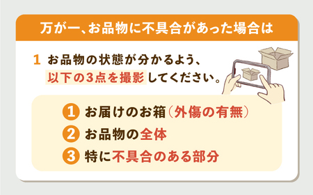 【全2回定期便】菓子・海産珍味詰め合せ《壱岐市》【吉田商店】[JAK012] 九州