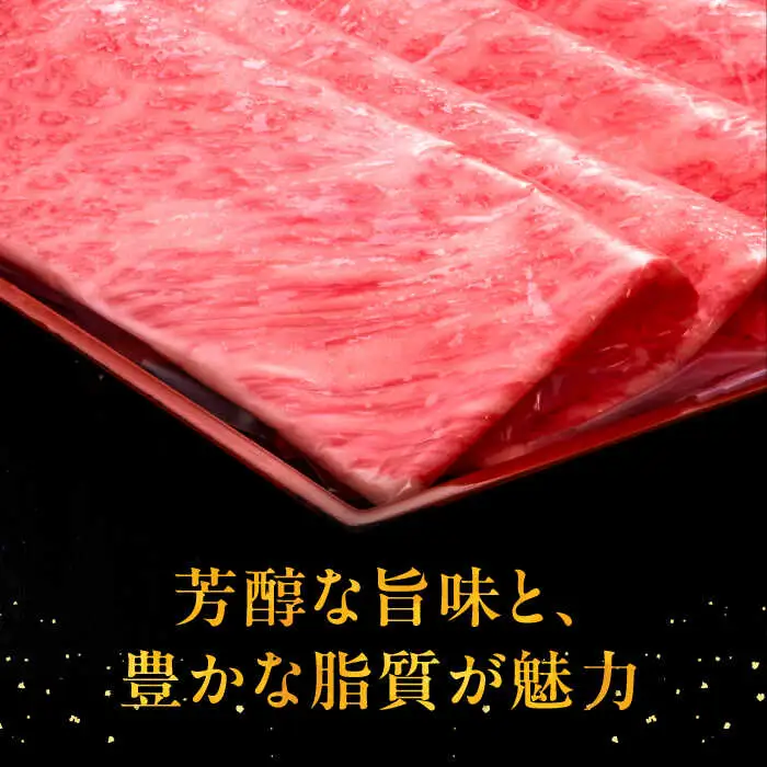 【全8回定期便】A4ランク以上 博多和牛 肩ロース薄切り 500g [ADBM136] ロース 定期便 
