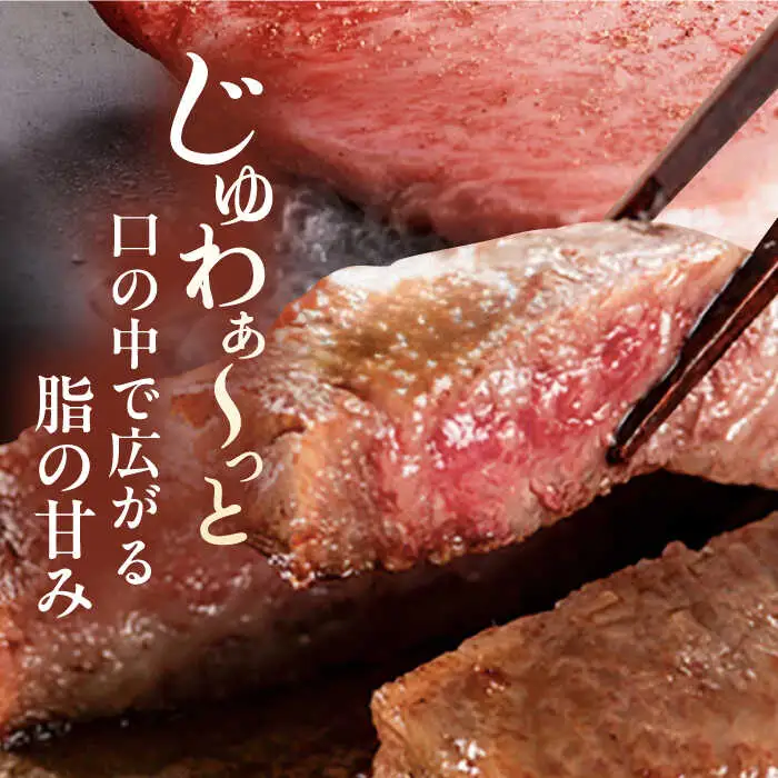 【全12回定期便】博多和牛 食べ比べ ステーキ 定期便 ( サーロイン / ヒレ / シャトーブリアン ) 毎月200g×4枚お届け！ [ADBM147] ステーキ 定期便 