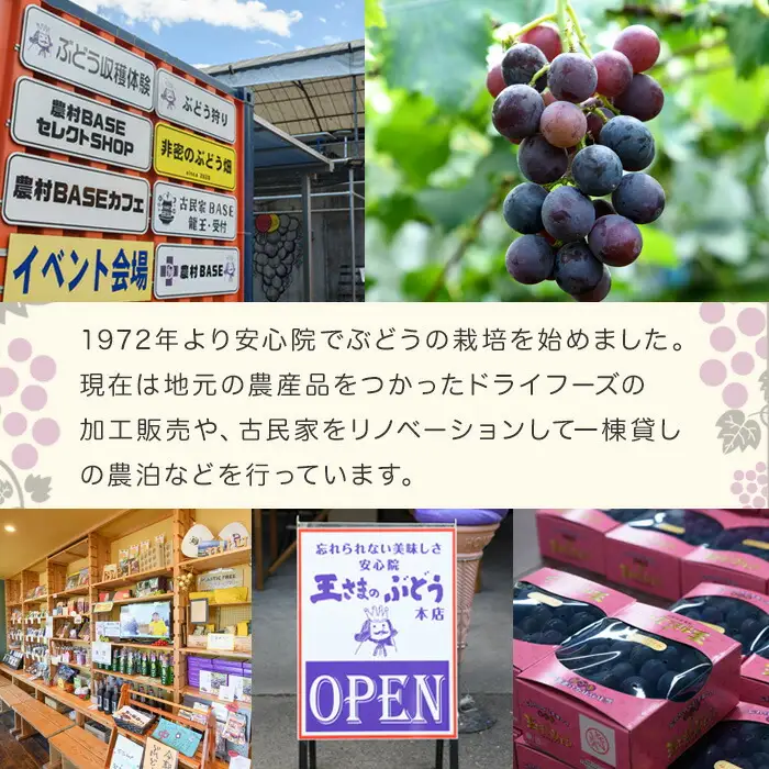 ねてもさめても濃縮蜜柑(計350g・35g×10袋)ドライフルーツ みかん ミカン 果物 くだもの フルーツ 乾燥 濃縮 小分け セット【100702000】【宮田ファミリーぶどう園】