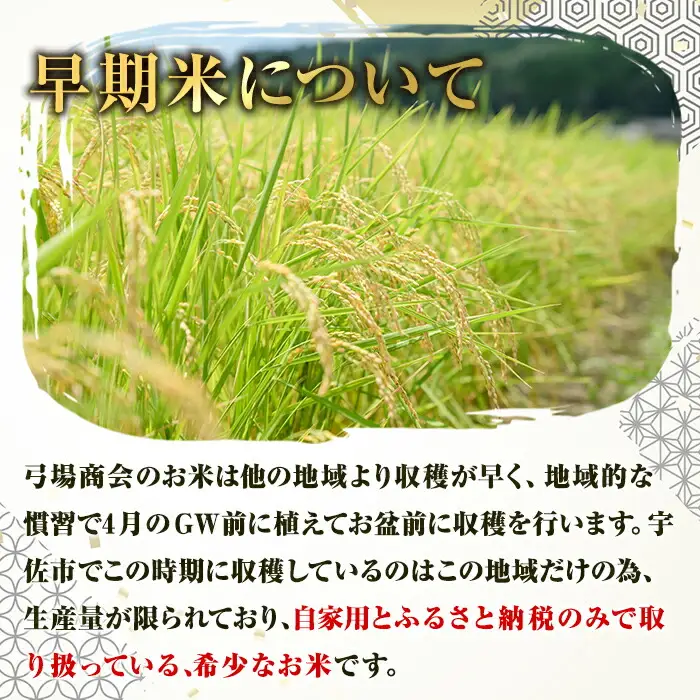 ＜先行予約受付中！2026年8月下旬以降順次発送予定＞宇佐市院内産コシヒカリ(計10kg・5kg×2袋) 早期米 米 お米 真空パック白米 精米 国産 限定 ごはん ご飯 白飯 ゴハン【111000101】【弓場商会】