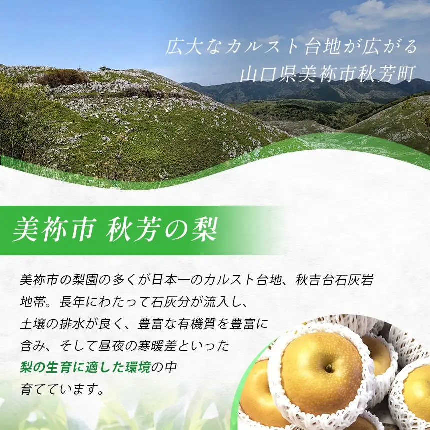 おいしい梨をいつでも 和梨のシロップ漬け（3個） 和梨ジャム（3個） 計6個セット  ( 秋芳の実 梨 百年の樹 )