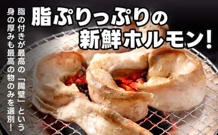1本焼き 激厚 ホルモン 厚腸版 新鮮 ホルモン 塩ホルモン モツ もつ 牛モツ 牛もつ ぷりぷり 旨味 黒毛和牛 小腸 腸壁 真空パック 国産 九州産 冷凍