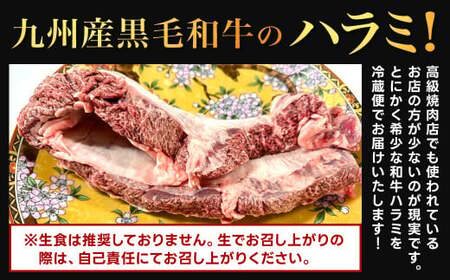 幻のハラミ これが和牛のハラミ（横隔膜）です【2027年1月～2月発送】黒毛和牛 和牛 ハラミ 上ハラミ 肉 お肉 高級 サシ 焼肉 BBQ 希少 新鮮 国産 九州産 冷蔵