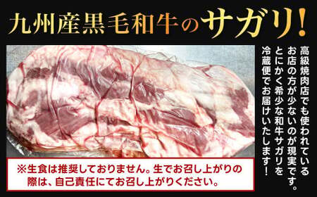 幻のサガリ これが和牛のサガリです【2027年1月～2月発送】黒毛和牛 和牛 サガリ 肉 お肉 高級 サシ 焼肉 BBQ 希少 新鮮 国産 九州産 冷蔵
