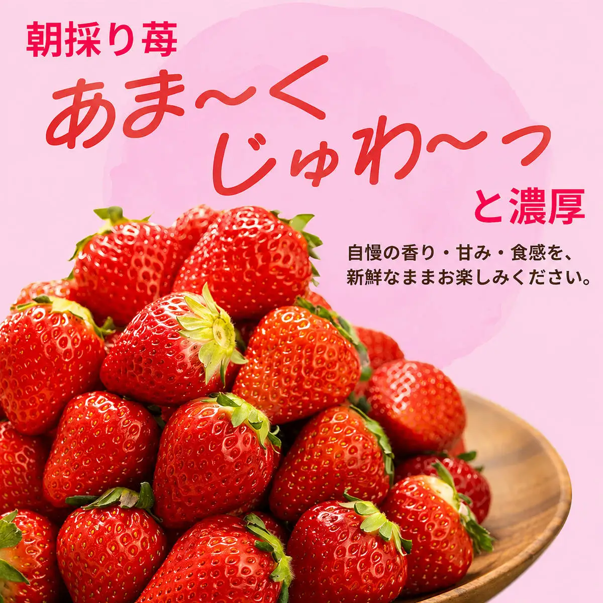 いちご 古都華 完熟 奈良県産 いちご【約1000g 250g×4パック】【冷蔵 先行予約】
