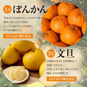 【令和８年発送】＜ 訳あり＞ オレンジ園の柑橘4種（ぽんかん・文旦・タンカン・小夏）各5kg 4回定期便【J00100】