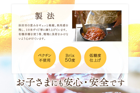 浜田市の季節の旬の果物を使ったクラフトジャムセット【限定】（イチゴ・ブルーベリー・もも） 加工品 果物 フルーツ ジャム ギフト 自家製 国産 有機砂糖 イチゴ ブルーベリー もも パン ヨーグルト ドレッシング セット 詰め合わせ 【187_1955】