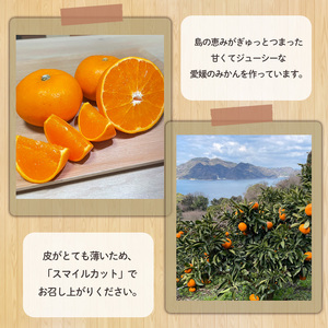 訳あり 家庭用 せとか 約3kg みかん【HYN0013】