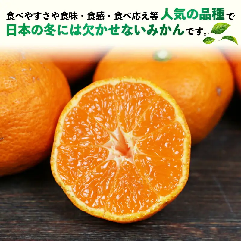 訳あり 南柑20号 9kg 河野農園 温州みかん みかん 人気のみかん 美味しいみかん 濃厚みかん 温州蜜柑 愛媛みかん 愛媛蜜柑 愛媛ミカン 蜜柑 mikan 温州 柑橘 果物 くだもの 訳アリ 訳あり品 訳有り わけあり フルーツ 産地直送 数量限定 先行予約 国産 愛媛 宇和島 B010-147004
