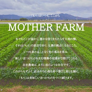 漬物 京つけものもり お試し6種 漬物