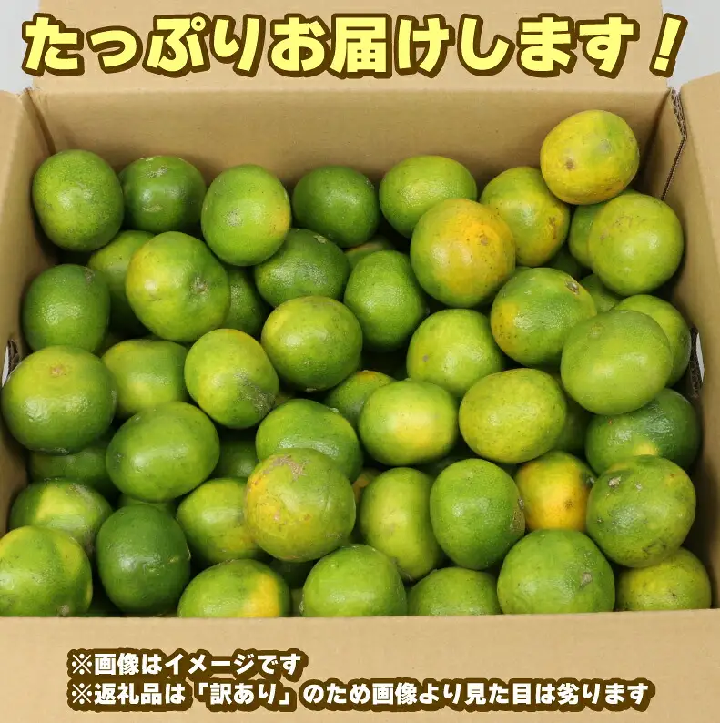 【ご家庭用】訳あり極早生みかん9kg玉津柑橘倶楽部|みかん(B010-072029)