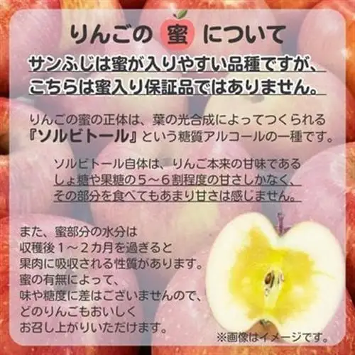 ◆2027年1月中発送◆りんご サンふじ家庭用 約10kg(24～42玉)【1515113】