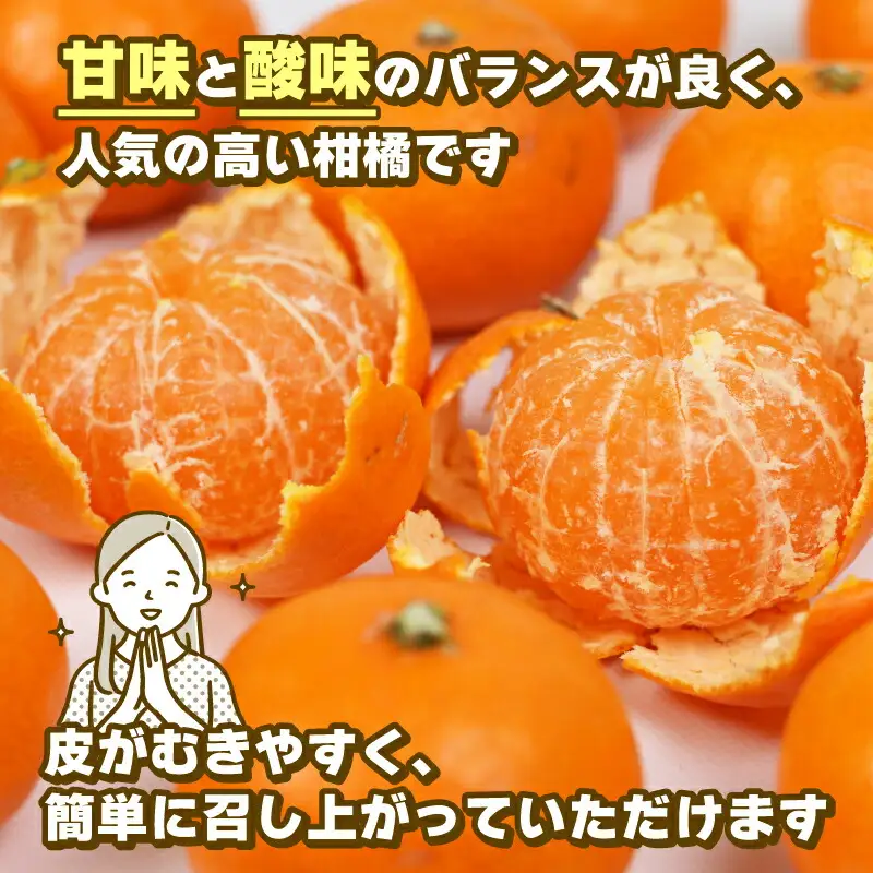 みかん 訳あり 小玉 温州みかん 早生 10kg 玉津柑橘倶楽部 訳あり B010-072030