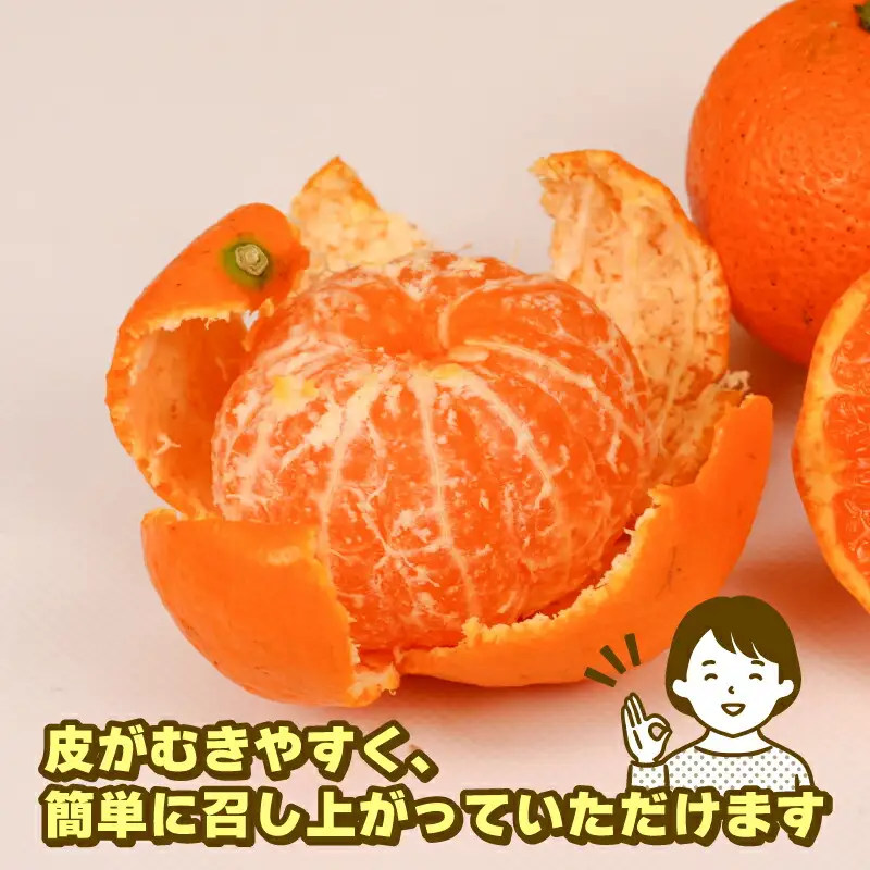 蜜柑 訳あり 小玉 温州みかん 南柑20号 10kg 玉津柑橘倶楽部 温州 みかん 小玉みかん 中生 甘い 果物 くだもの フルーツ 柑橘 mikan 愛媛蜜柑 愛媛みかん 愛媛ミカン ミカン わけあり サイズ 不揃い 産地直送 数量限定 国産 愛媛 宇和島 B010-072031